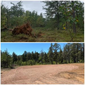 Argall-Excavating-Marquette-County-Excavating-Equipment-land-clearing-site-prep4